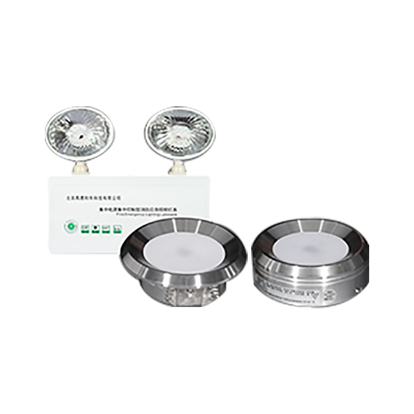 利达GD-ZFJC-E5W-604X5(5W)集中电源集中控制型应急照明灯具